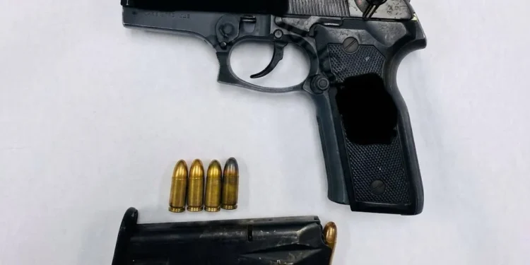 firearm