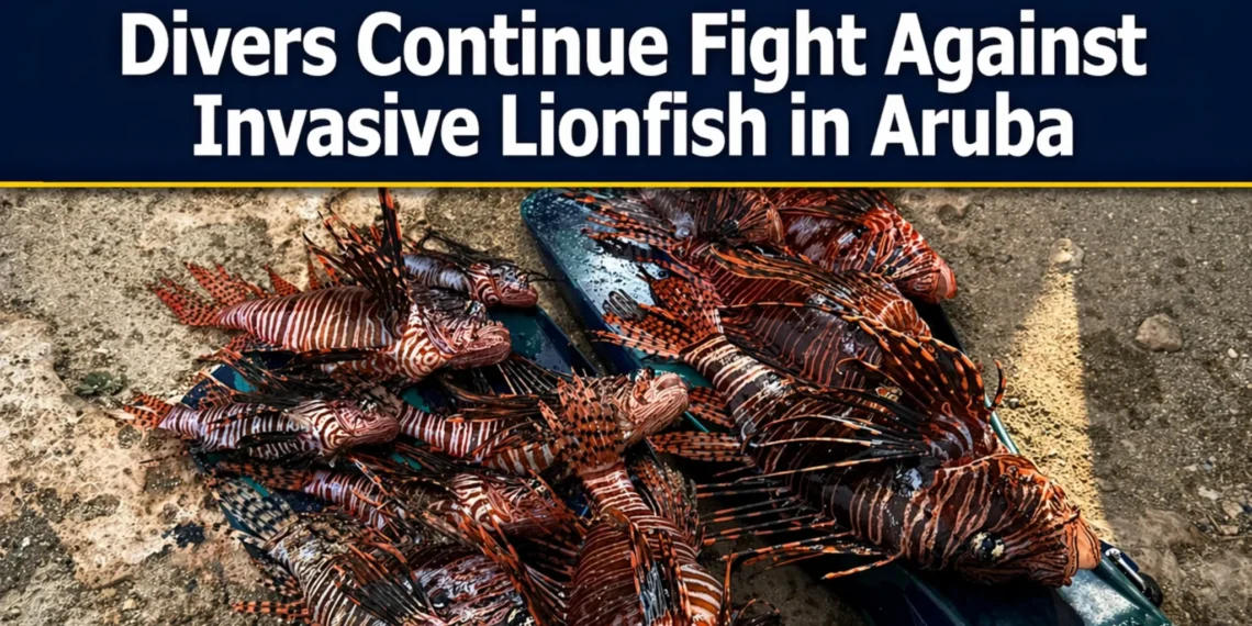 lionfish