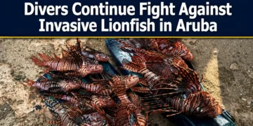 lionfish