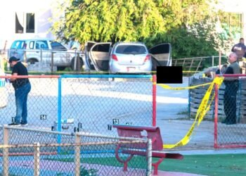 Ayden Lanoy police shooting sentence