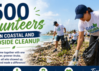 volunteers