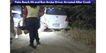 Palm Beach Hit and Run Aruba Driver Arrested After Crash image 2026 04 12t214224.169