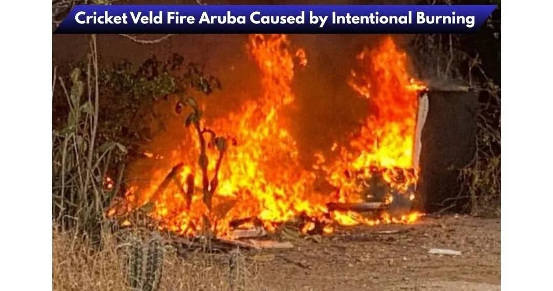 Cricket Veld Fire Aruba Caused by Intentional Burning image 2026 04 12t221315.459