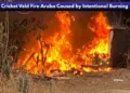 Cricket Veld Fire Aruba Caused by Intentional Burning image 2026 04 12t221315.459
