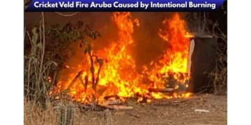 Cricket Veld Fire Aruba Caused by Intentional Burning image 2026 04 12t221315.459