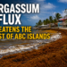 Sargassum Influx Threatens the Coast of ABC Islands