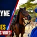 Carolyne Kock Releases New Music Video