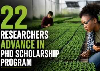 22 Researchers Advance in PhD Scholarship Program