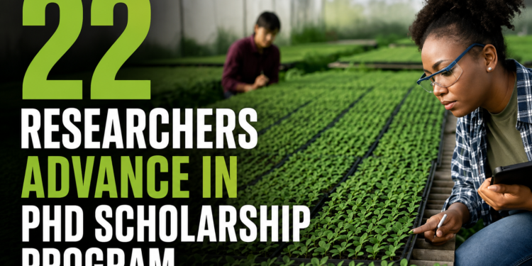22 Researchers Advance in PhD Scholarship Program
