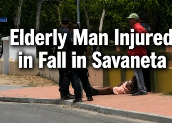 elderlymanfallsavaneta