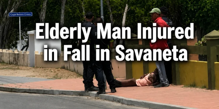 elderlymanfallsavaneta