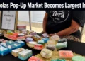 popupmarket