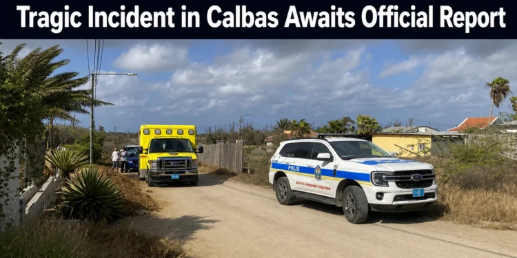 tragicincidentincalbas