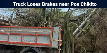 truckloses
