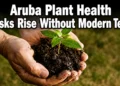 arubaplanthealth