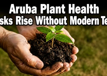 arubaplanthealth