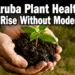arubaplanthealth