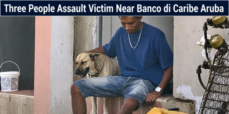 assaultvictim