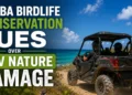 birdlife