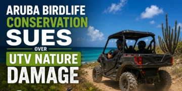 birdlife