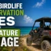 Aruba Birdlife Conservation Sues Over UTV Nature Damage birdlife