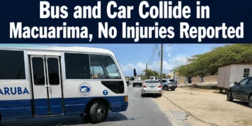 busandcarcollide
