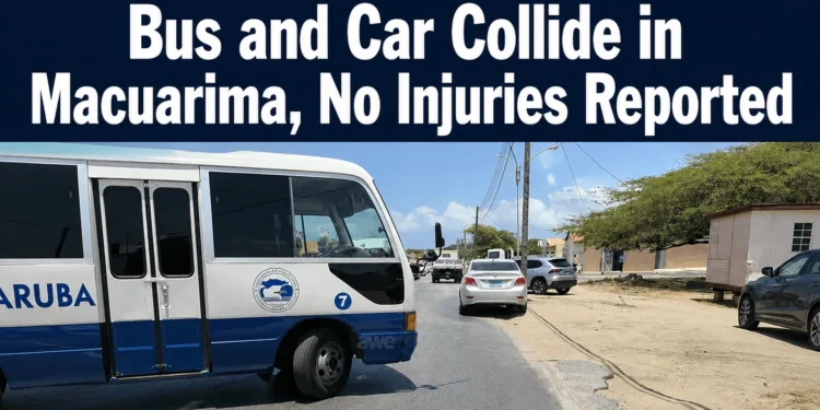 busandcarcollide
