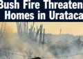 bushfire