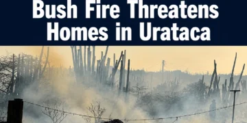 bushfire