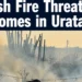 bushfire