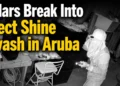 carwashburglars