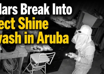 carwashburglars