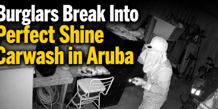 carwashburglars
