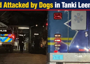 childattackeddogs