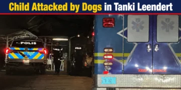 Child Attacked by Dogs in Tanki Leendert childattackeddogs
