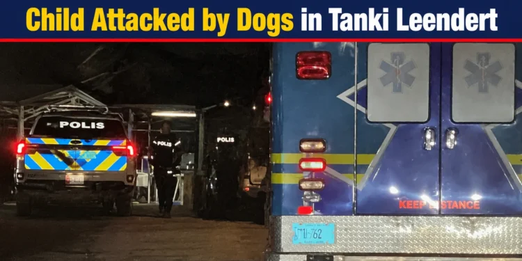 Child Attacked by Dogs in Tanki Leendert childattackeddogs