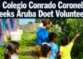 colegiovolunteers