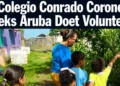 colegiovolunteers