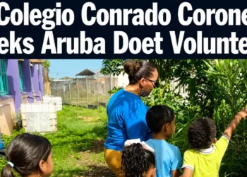 colegiovolunteers