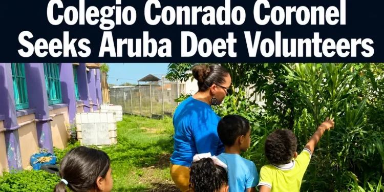 colegiovolunteers