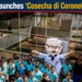 cosechacoronel