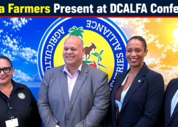 dcalfa