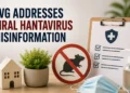 dvghantavirus
