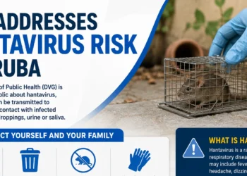 dvghantavirus