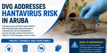 dvghantavirus