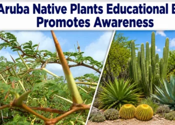 Aruba Native Plants Educational Event Promotes Awareness
