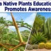 Aruba Native Plants Educational Event Promotes Awareness