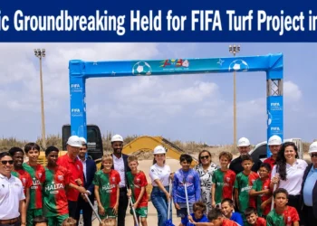 fifaturfproject