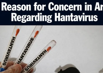 hantavirustubes