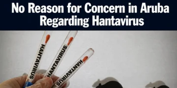 hantavirustubes